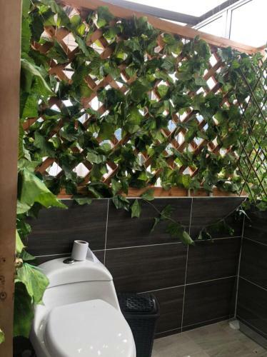 Moderno Apartamento En Guatap� Con Jacuzzi Y Parqueadero