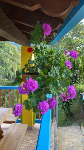 Vista Hermosa Finca Hotel