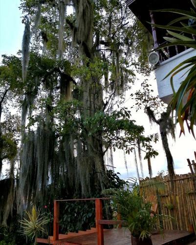 Bed & Breakfast Hostal Casa La Juana