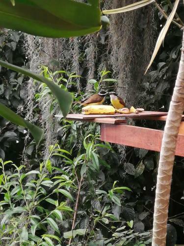 Bed & Breakfast Hostal Casa La Juana
