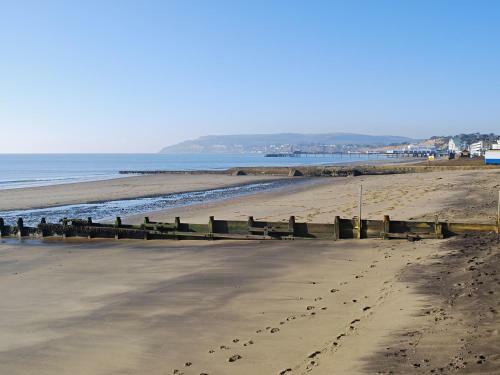 Shoreline