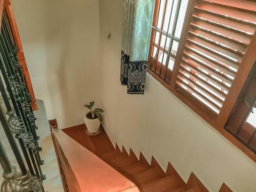 Hotel White House Ratnapura