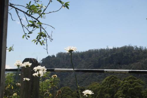 Hotel Bezel Bungalow Nuwara Eliya