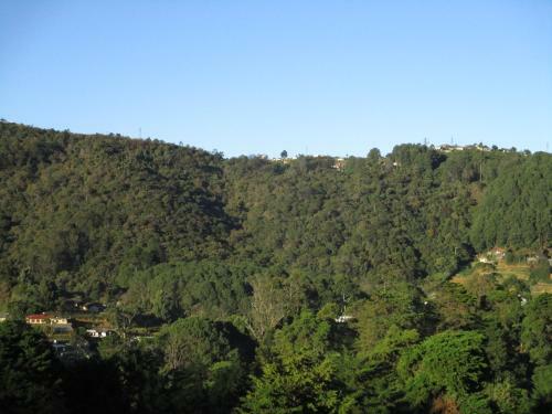 Hostal Redwood Homestay