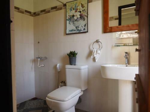 Hostal Redwood Homestay