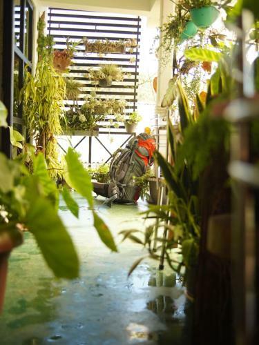 Hostal Redwood Homestay