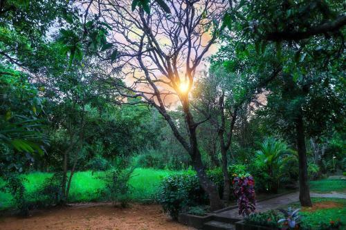 Hostal The Cattleya Guest House