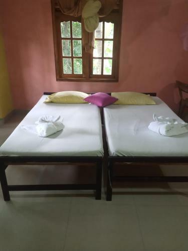 Bed & Breakfast Yala Safari Information Hotel