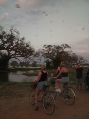 Bed & Breakfast Yala Safari Information Hotel