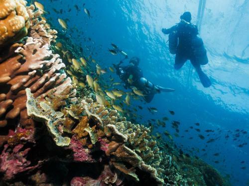 Hotel Cebu Seaview Dive Resort