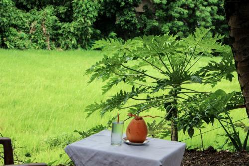 Nature Nest Home Stay