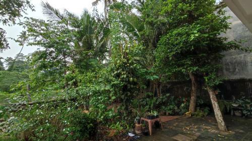 Villa Bon Nuit Weligama