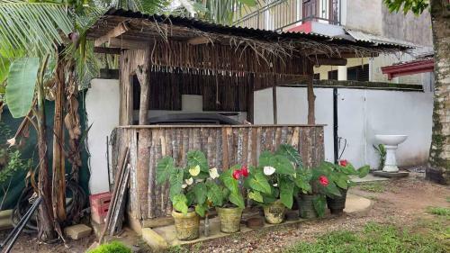 Hostal Freedom Surf Villa