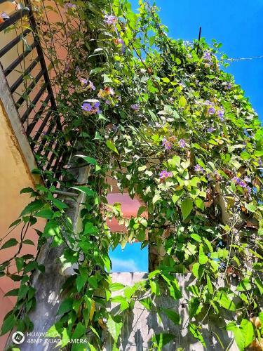 Hostal Knt Villa