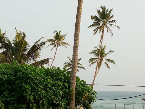 Summer House - Surf Inn