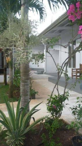 Apartamento Panglao, White House Villas
