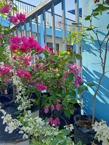 Blue Dream Apartment