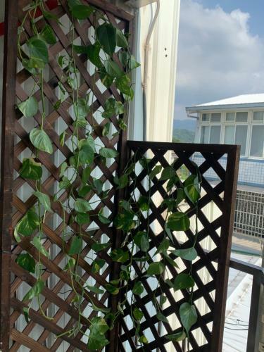 Guan Ma Homestay