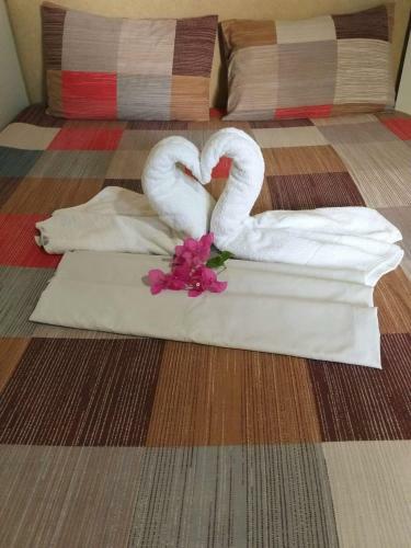 Albergue Park Vil-la Apartelle