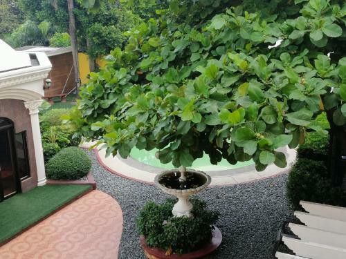 Solis Mansion Hotel & Private Resort