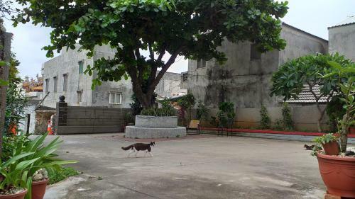 Penghu Bay Homestay