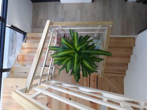 Yueli Homestay