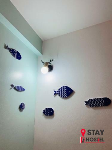 Hotel Stay Hostel 2 - 350m From The Ferry