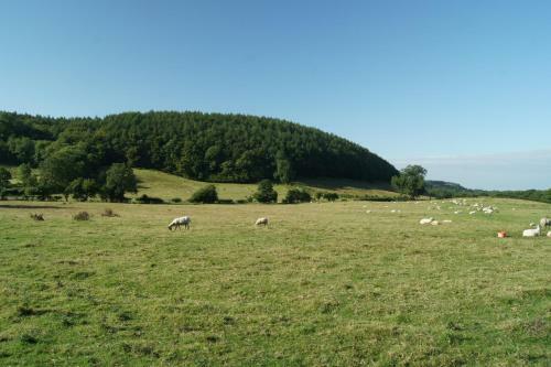 Agroturismo Rawcliffe House Farm