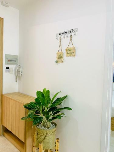 Nha Trang Ltd Seaview Apartment