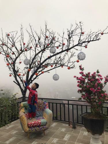 Alley House Sapa Homestay
