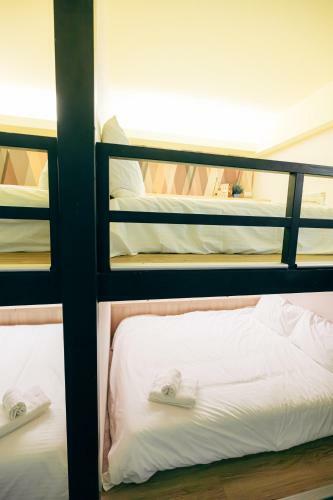 Bird Series Hostel