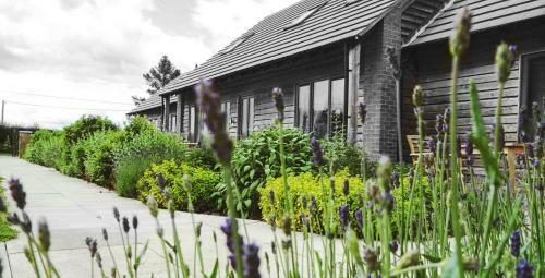 Apartamentos Elm Tree Farm