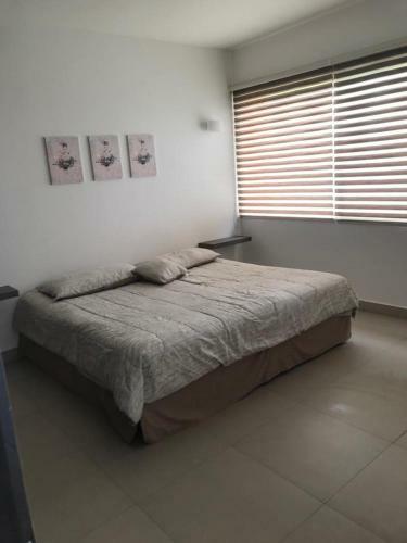Apartamento Departamento En Nuevo Vallarta Multi-unit Building