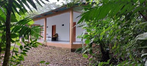 Hotel Caba�a Sak Ja Selva Lacandona