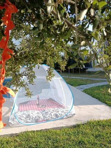Best Couple Getaway! Pool, Bbq, Sleep Under The Stars!