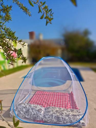 Best Couple Getaway! Pool, Bbq, Sleep Under The Stars!