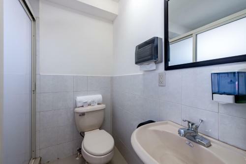 Apartamento Ayenda Suites Ejecutivas Monterrey
