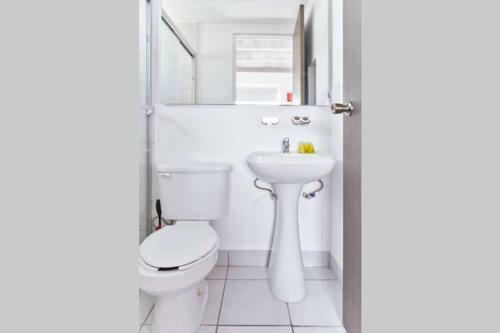 Apartamento Monterrey Living Centro T5