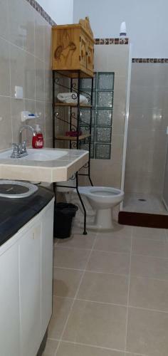 Apartamento Casa Turix Centro--santiago