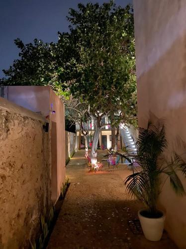 Apartamento Hotelito Yum Kaax