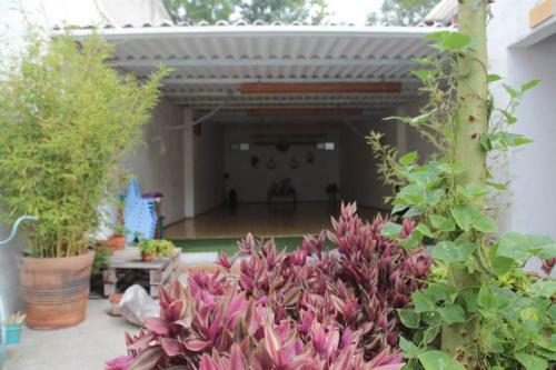 Apartamento Habitaci�n Privada Yoga Room