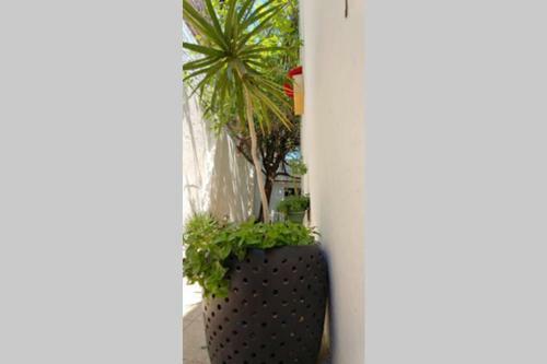 Apartamento Habitaci�n Privada Solar En Casa Zen
