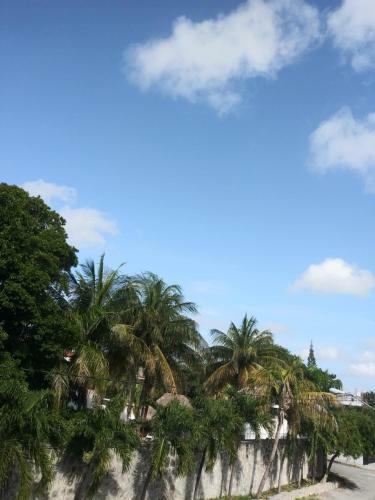 Apartamento Los Balcones Puerto Morelos
