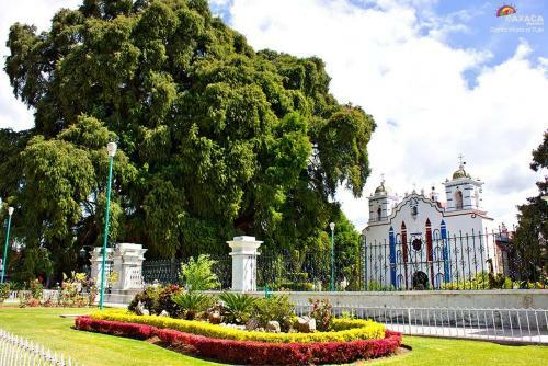 Hostal Eco-hotel Los Petates