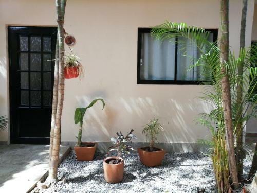 Posada Jard�n San Pancho