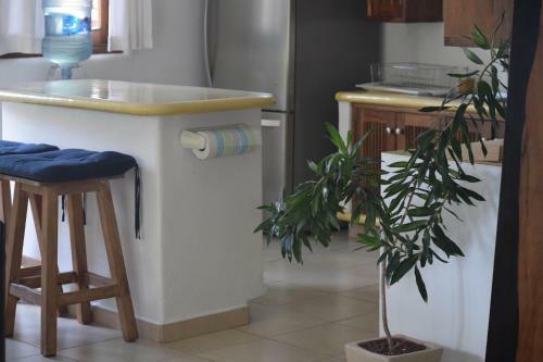 Apartamento Piedra Luna San Pancho