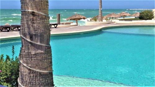 Apartamento Ground Floor Sonoran Sun 111-e - 1br 1ba