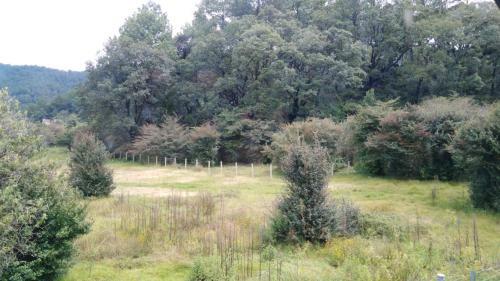 Apartamento Calkin� Caba�as By Rotamundos