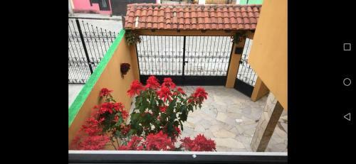 Acogedor Hogar En Pueblo M�gico