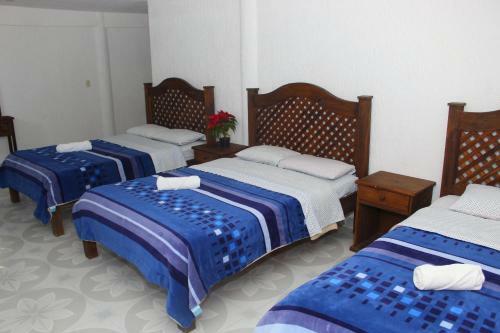 Hotel Panda Viajero